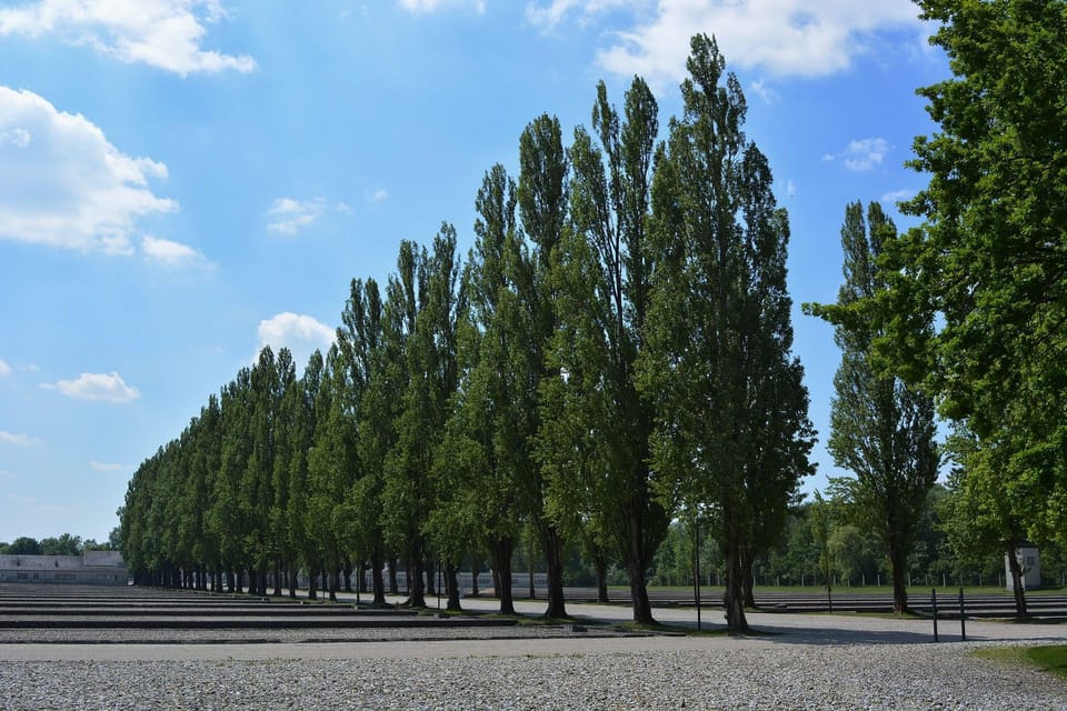Dachau Memorial Public Tour - Practical tips for a respectful, low-stress day