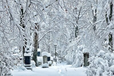 Death and Chocolate: Walking Tour of Munich's Old South Cemetery - How the Tour Flows: From St. Stephen to the Cemetery and Back