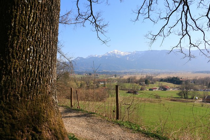 Dragon Slayer Way Beer Hike Food Experience Private Tour (departs Munich) - How the $282.37 price makes sense for a Munich-to-Bavaria day