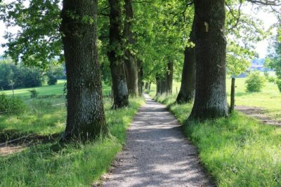 Dragon Slayer Way Beer Hike Food Experience Private Tour (departs Munich) - Stop for art vibes: the Blue Rider cottage moment