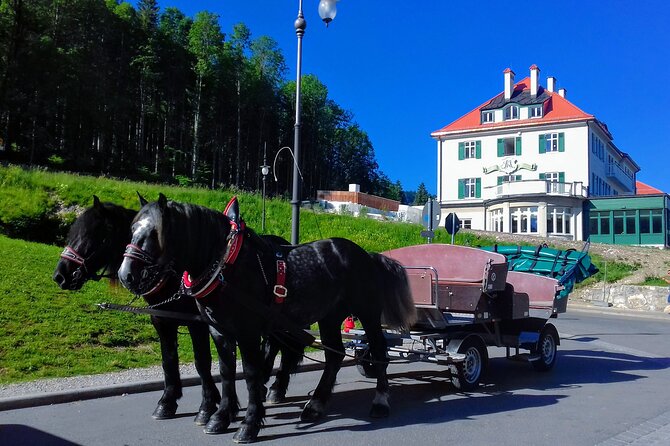 EXCLUSIVE 3 Royal Castle SKIP-THE LINE Tour of Neuschwanstein + Linderhof + Hohenschwangau from Munich - Hohenschwangau Castle: Maximilian II’s fairy-tale base