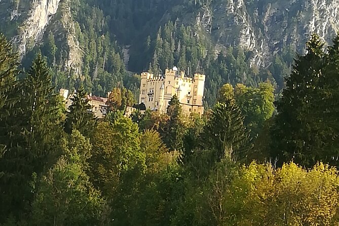 Half day tour private from Munich to Neuschwanstein Castle - Price and Value: $1,100.75 for Up to 4 (When It’s Worth It)