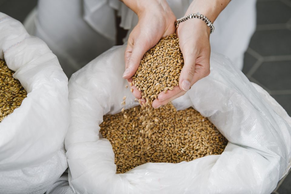 München: Braukurs mit Führung und Verkostung - What You’ll Learn Beyond Brewing: Ingredients, Systems, and Practical Tips
