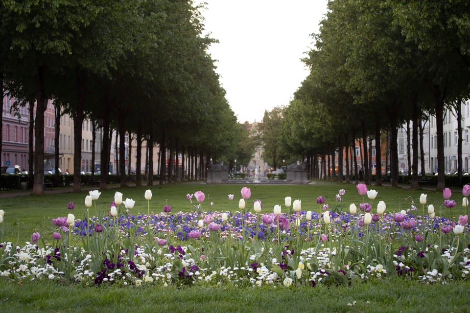 Munich: 3-Hour Food Tour Through Haidhausen in GERMAN - The French Quarter area: where the flavors feel more international