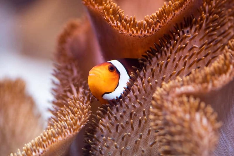 Munich: Day Ticket to Sea Life - Key highlights worth planning around