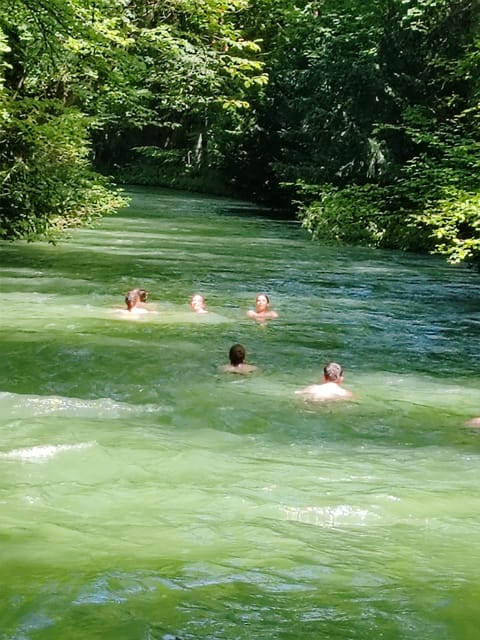 Munich: Mini Classic Bike Tour with Beer Garden Stop at 4 PM - The English Garden and Chinese Tower: photos, people, and the surfer spectacle
