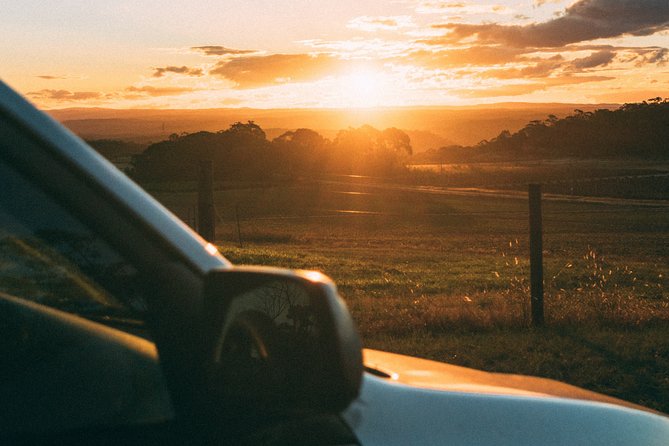 Munich to Prague - Private Transfer with 2 hours of Sightseeing - The Driver Experience: Local Insights Without the Tour-Guide Performance
