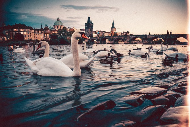 Munich to Prague - Private Transfer with 2 hours of Sightseeing - How to Get the Most From Your Chosen Stop