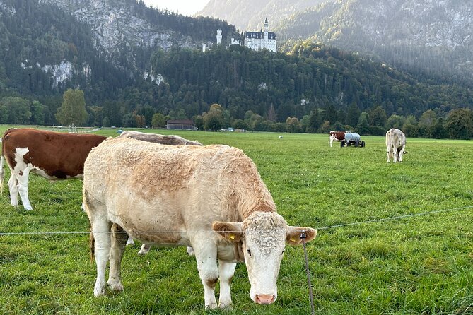 Neuschwanstein Castle & more - Private Tour from Munich - Passionstheater village and Ettal Abbey: a Bavarian reset after the castle