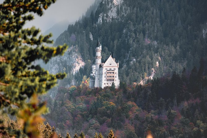Private Castle Tour from Munich: Neuschwanstein, Hohenschwangau, and Linderhof - The comfort factor: BMW-level rides, plus real driving time