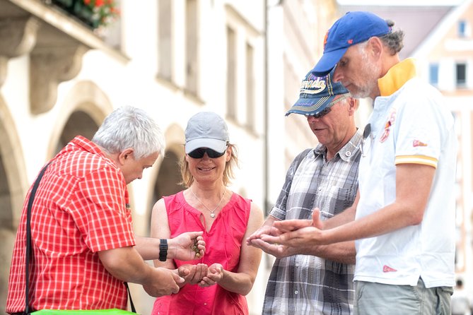 Private Munich Old Town and Third Reich Walking Tour - Private Pickup and a Flexible Start Time