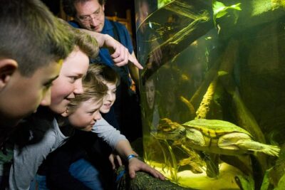 SEA LIFE Munich Admission Ticket - The themed journey: Danube Delta, coral cave, and seahorse bay