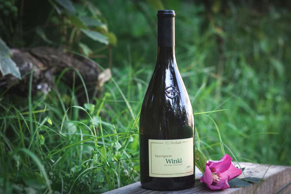 South Tyrolean specialties and wine tasting - The wine flight: Gewürztraminer, Pinot Blanc, Lagrein, Vernatsch